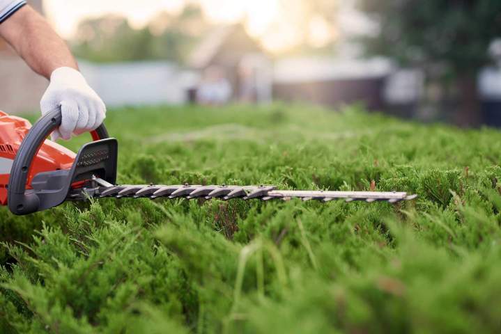 Entretien de jardin Orléans