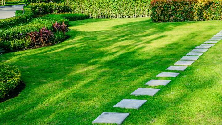 Travaux d’aménagement de jardin Orléans