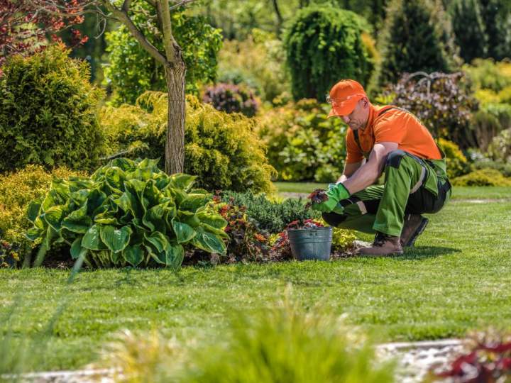 Entretien de jardin Orléans