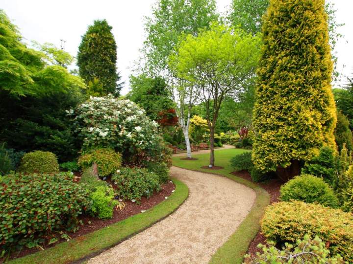 Aménagement de jardin Orléans
